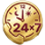 24×7 Assistance